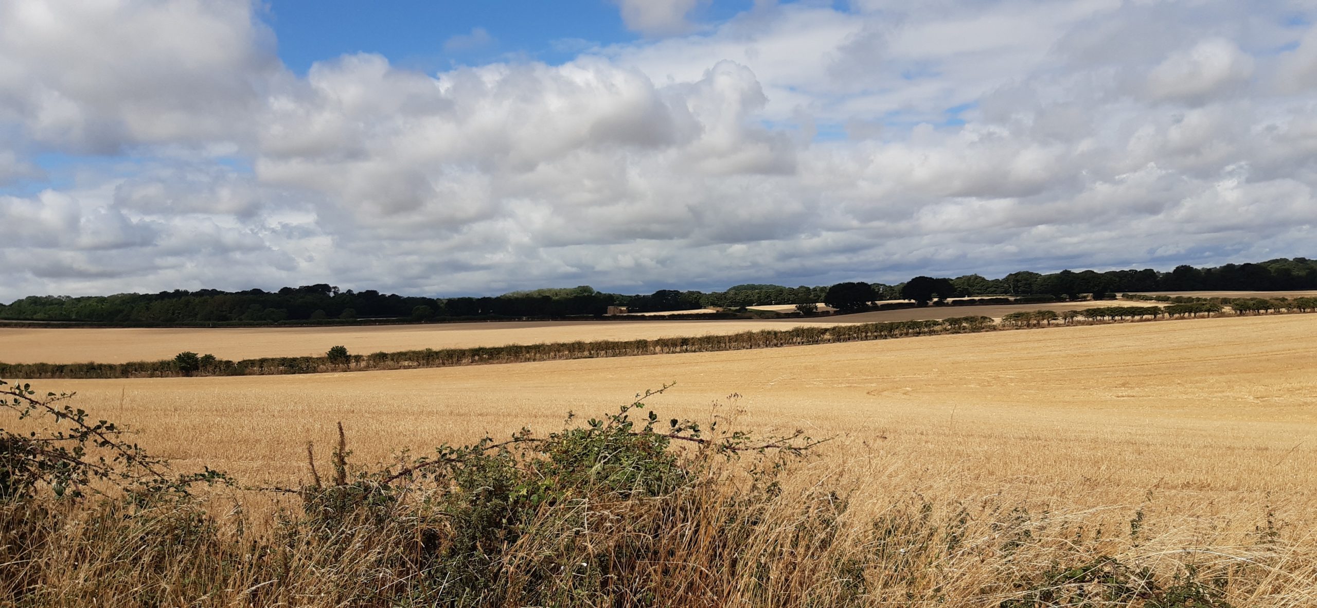 Discover Flitwick to Steppingley CPRE Bedfordshire