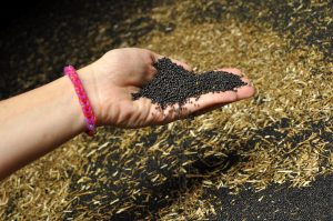 Hand in grain