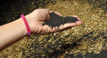 Hand in grain