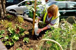 Edible High Town