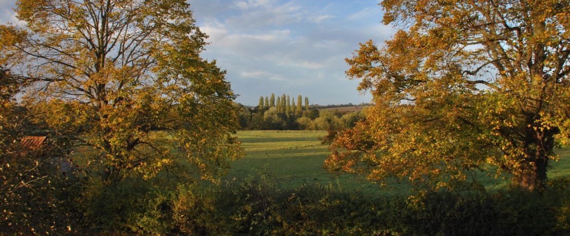 Proposed site of development
