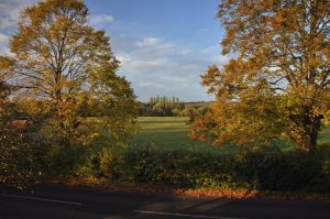 Proposed site of development