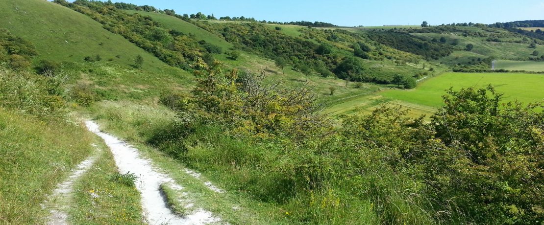 Chalk path along a ridge. The surrounding landscape is green.