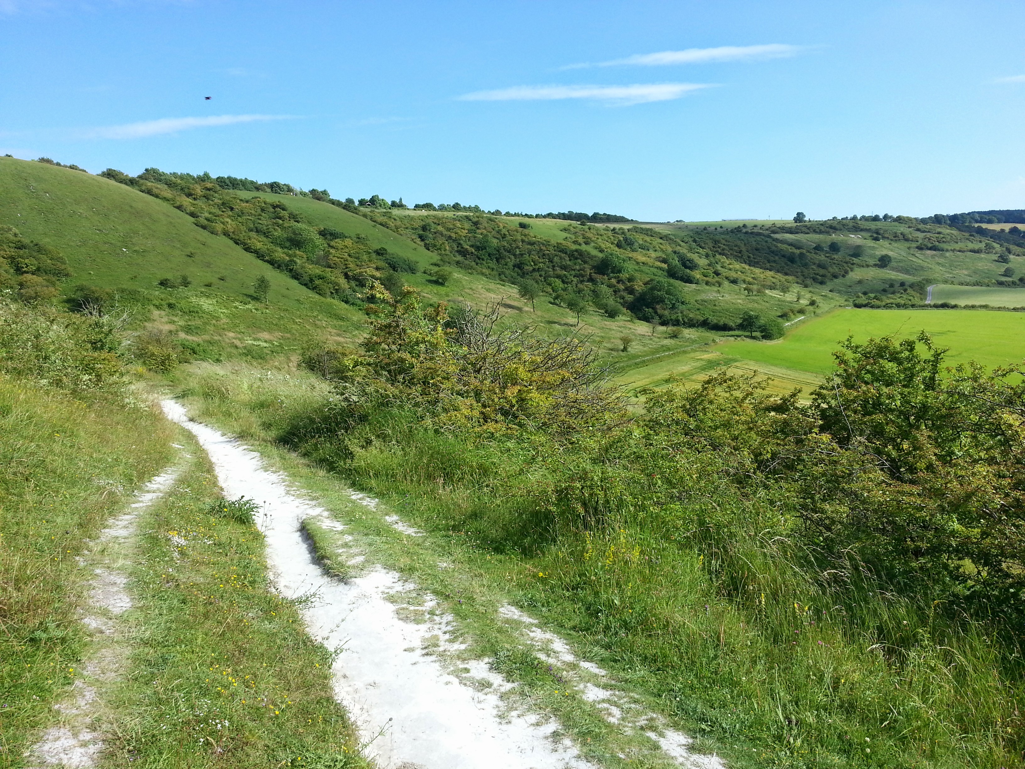 Chalk path along a ridge. The surrounding landscape is green.
