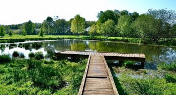 Boardwalk leading out into water.