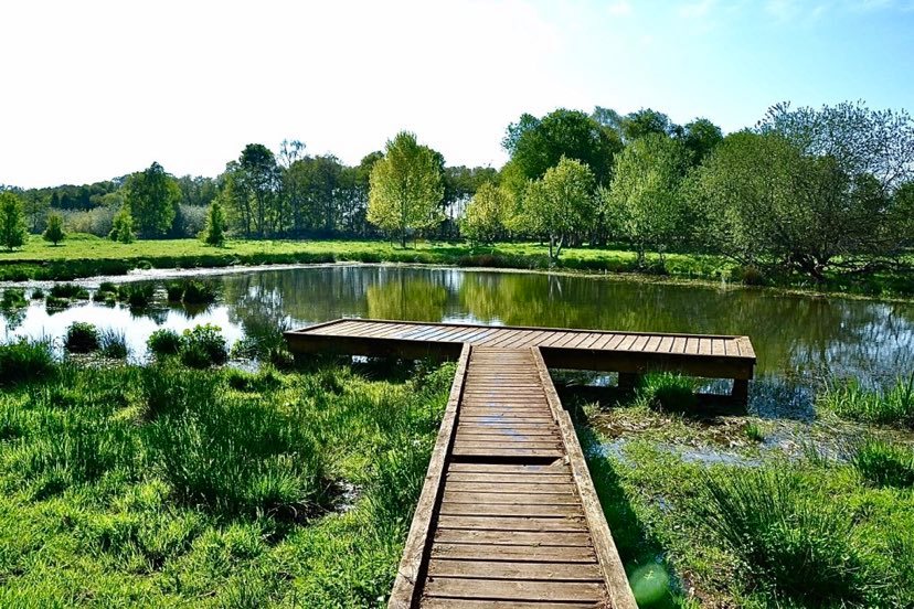 Boardwalk leading out into water.