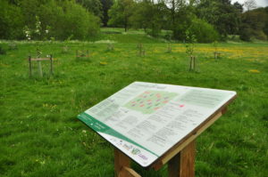 Community orchard interpretation board