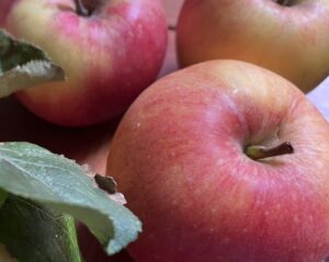 Close up apples 