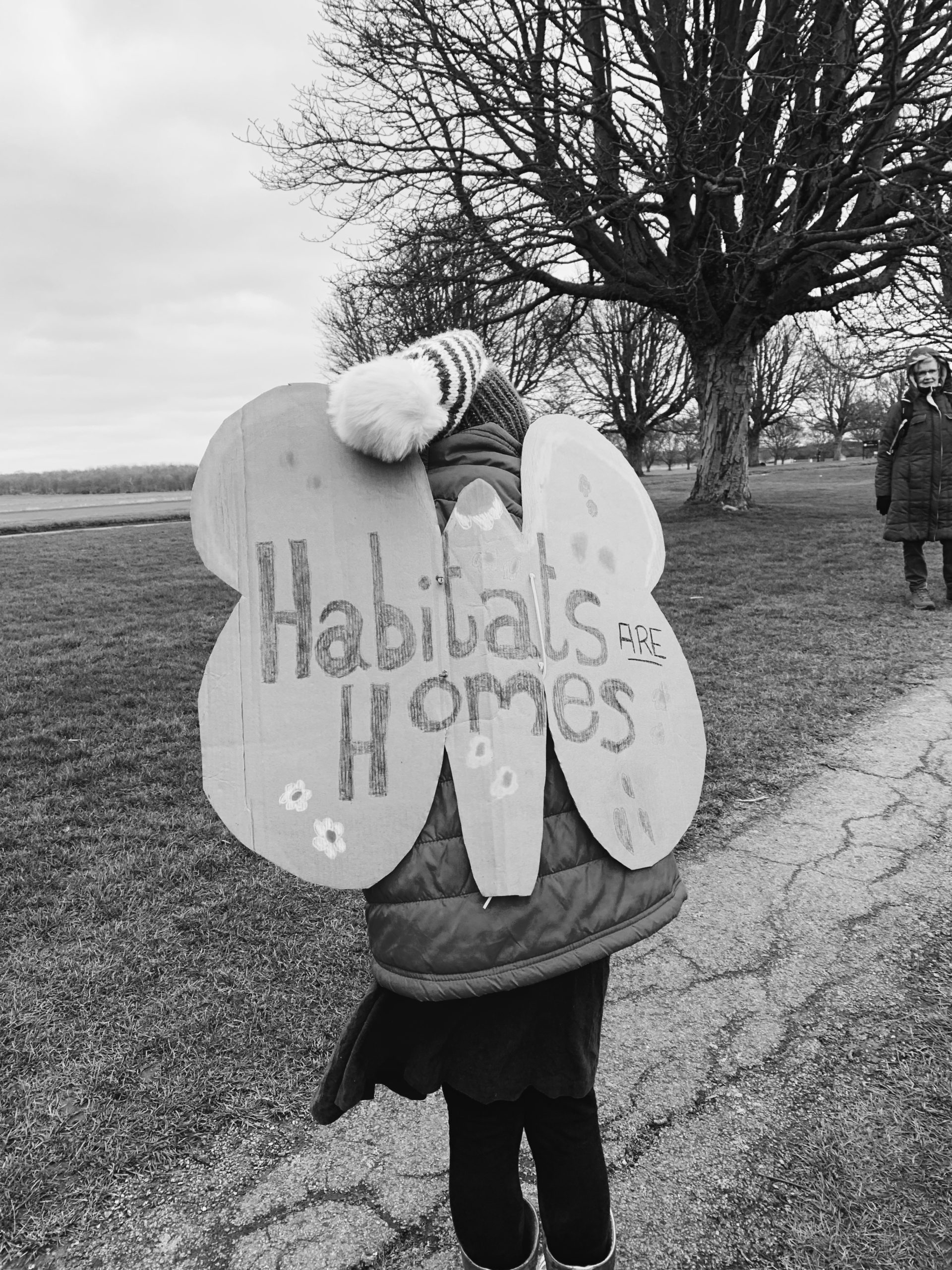 Do Central Bedfordshire Council care about the Green Belt? CPRE