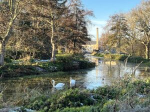 Two swans on a river with a mill in the background. The trees lining the river are bare.