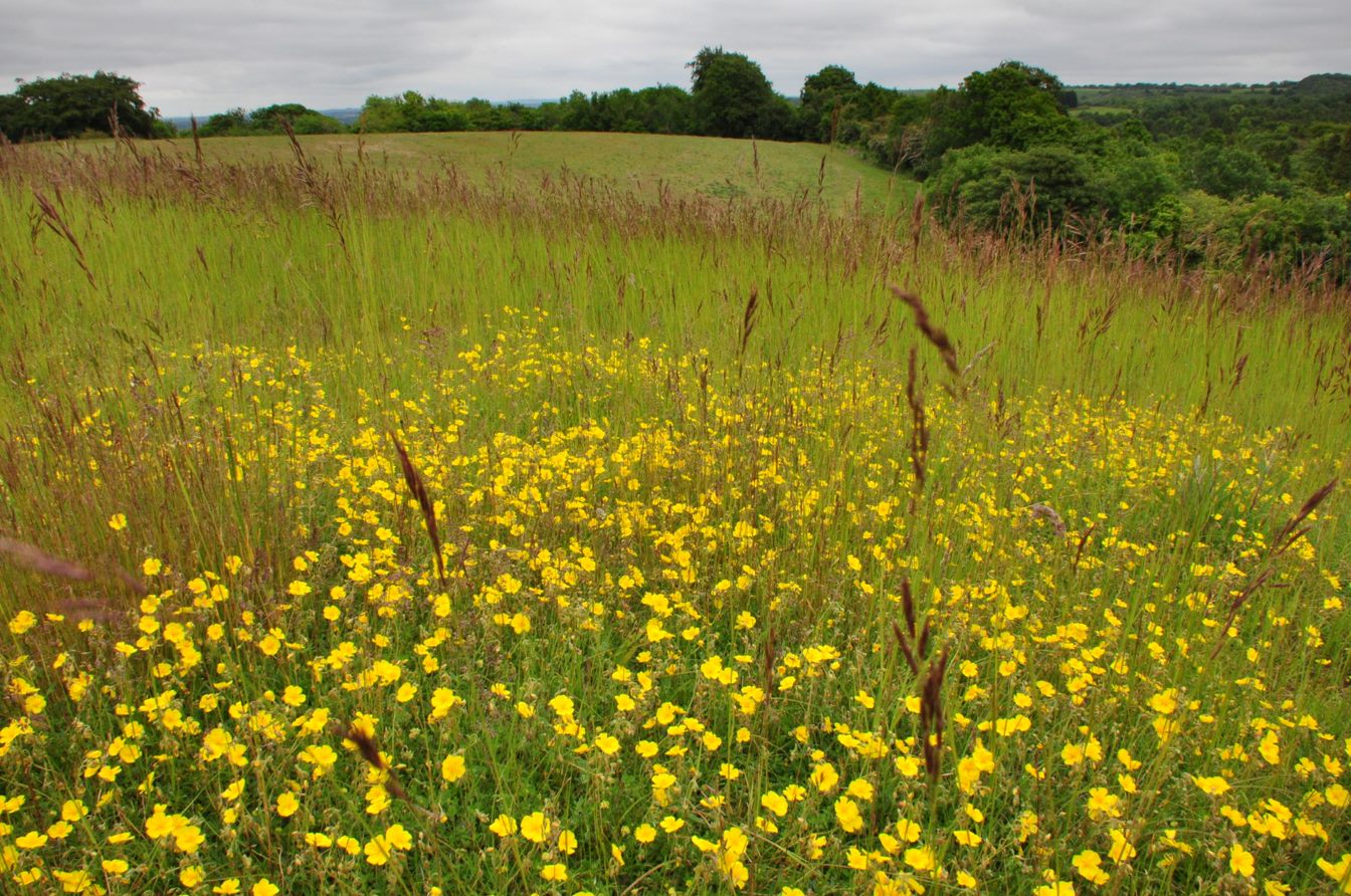 2023 Living Countryside Awards the results! CPRE Bedfordshire