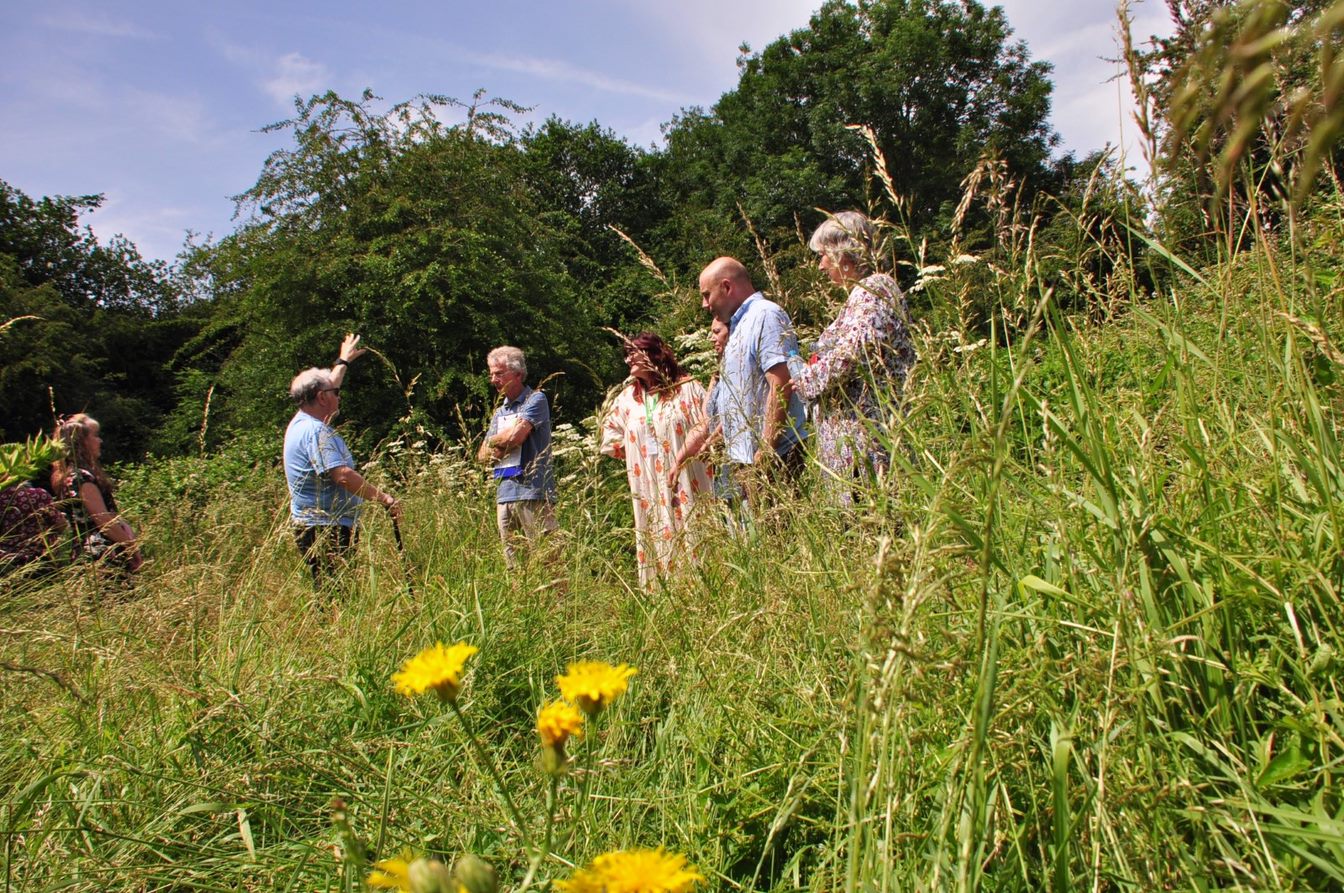 A group of people stood in a wildflower meadow.
