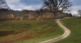 A path winds through a parkland landscape.