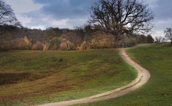 A path winds through a parkland landscape.