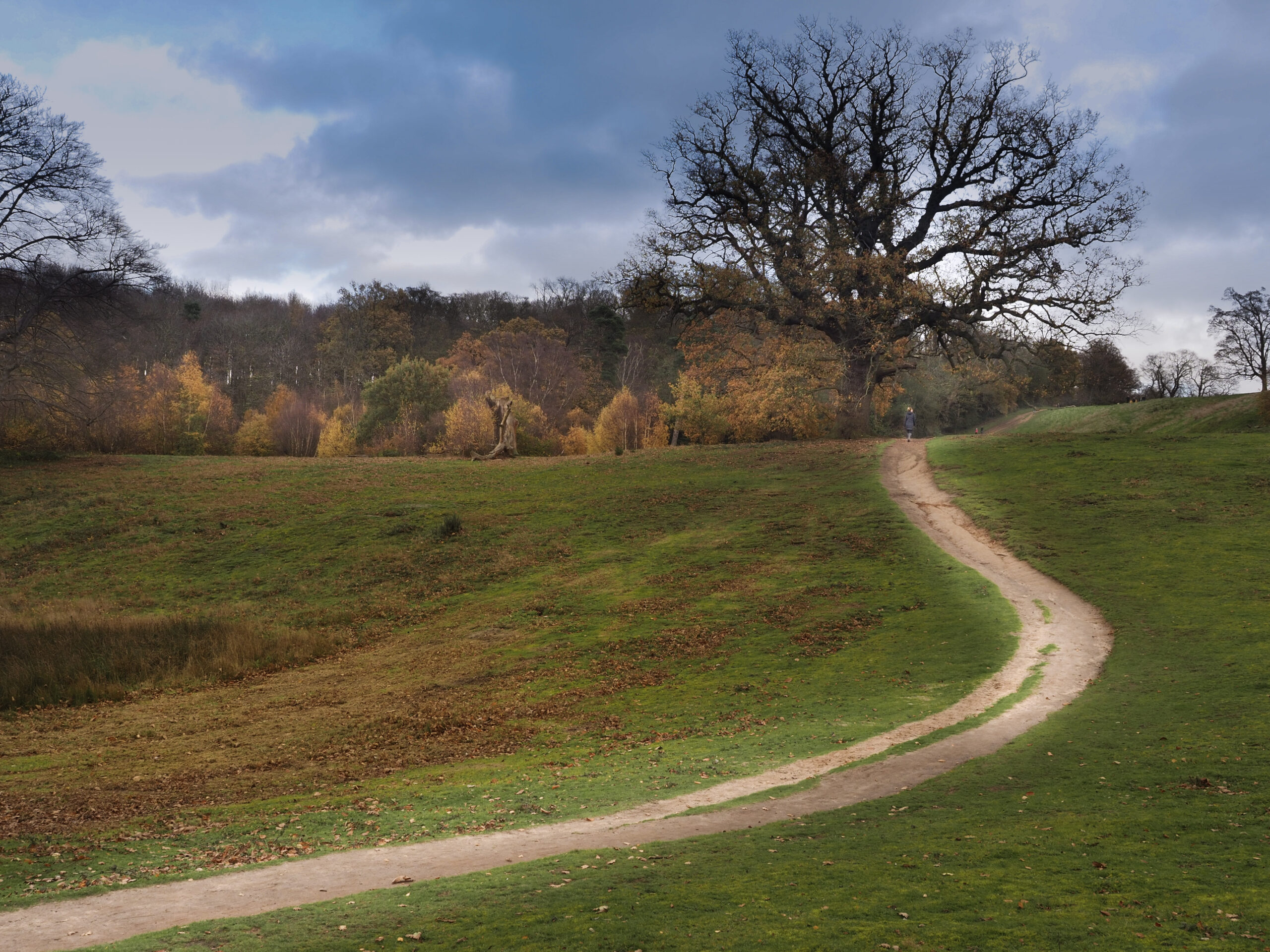 A path winds through a parkland landscape.
