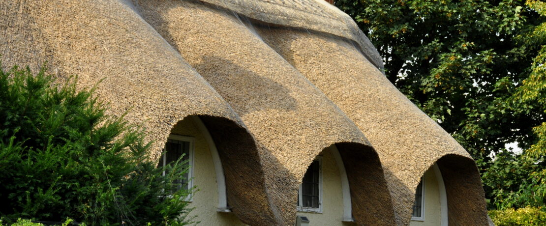 Close up of a thatched roof.