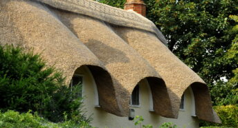 Close up of a thatched roof.