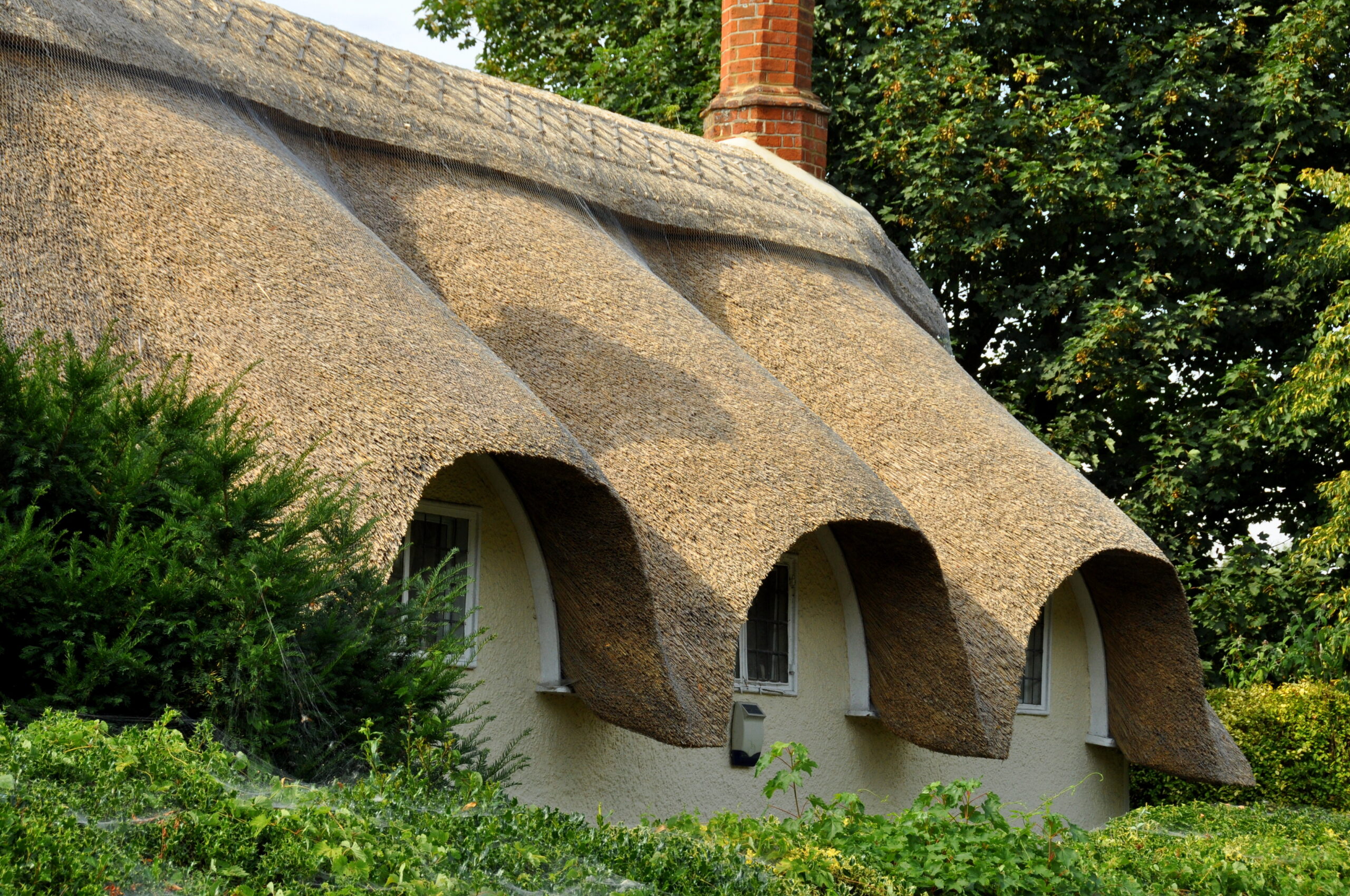 Close up of a thatched roof.