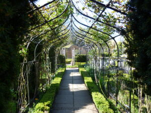 A shady metal arch corridor with plants growing over it, leading towards gardens.