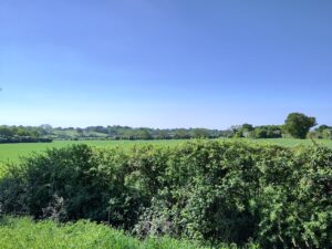 Green fields and hedgerow. Gentle roll of hills in background.