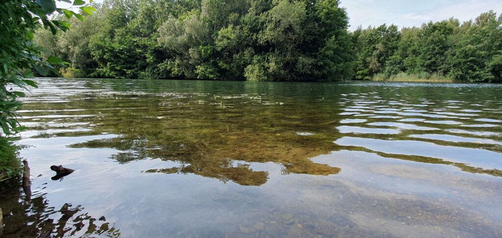 Close-up of clear lake water with green trees in the background.
