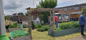 People enjoying a small community garden with raised beds full of growth.