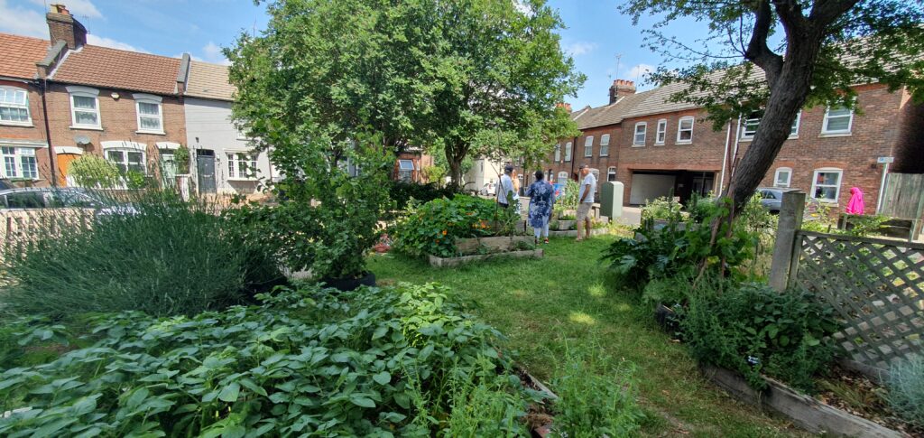 Small, very green community garden surrounded by buildings.