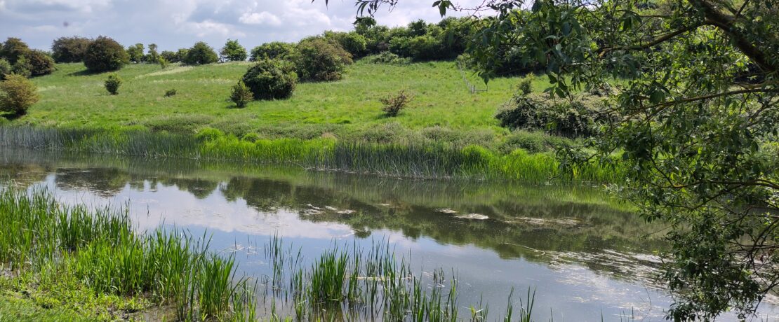 A riverside scene with clouds and sky reflected in the water.