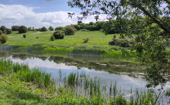 A riverside scene with clouds and sky reflected in the water.