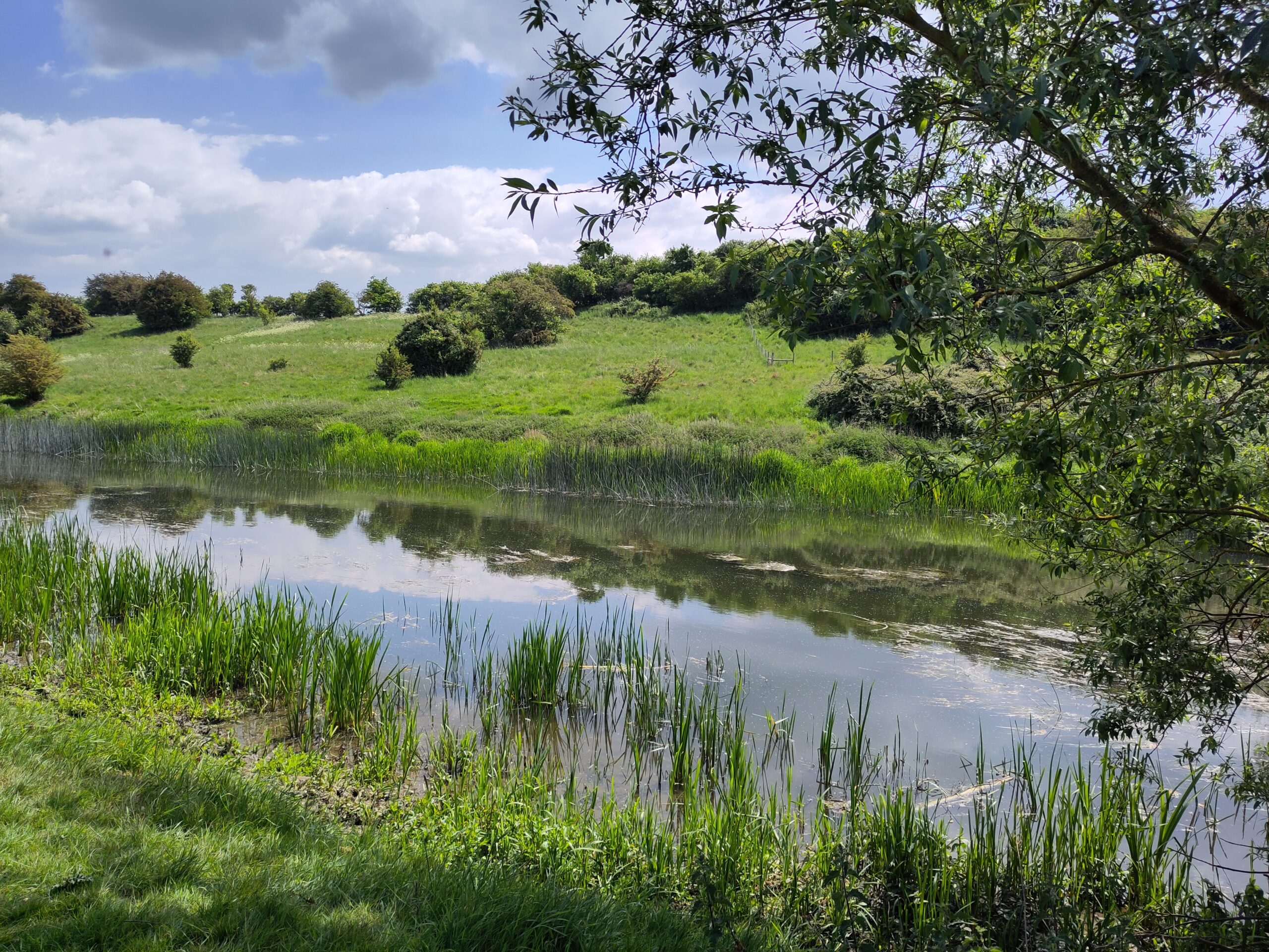 A riverside scene with clouds and sky reflected in the water.