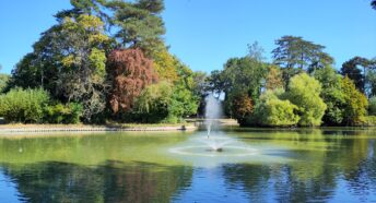 Lake and fountain in bright sunshine. There are trees of different heights and colours in the background.
