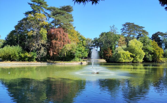 Lake and fountain in bright sunshine. There are trees of different heights and colours in the background.