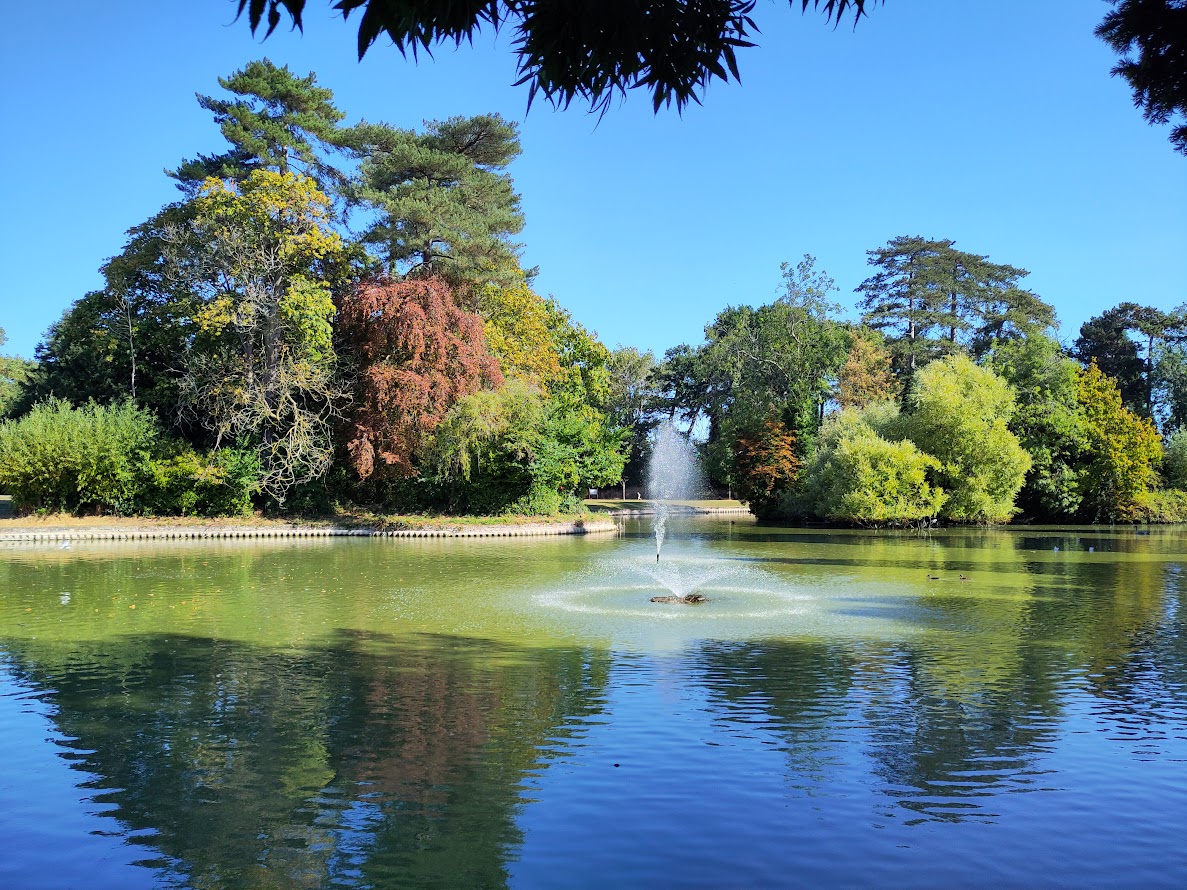 Lake and fountain in bright sunshine. There are trees of different heights and colours in the background.