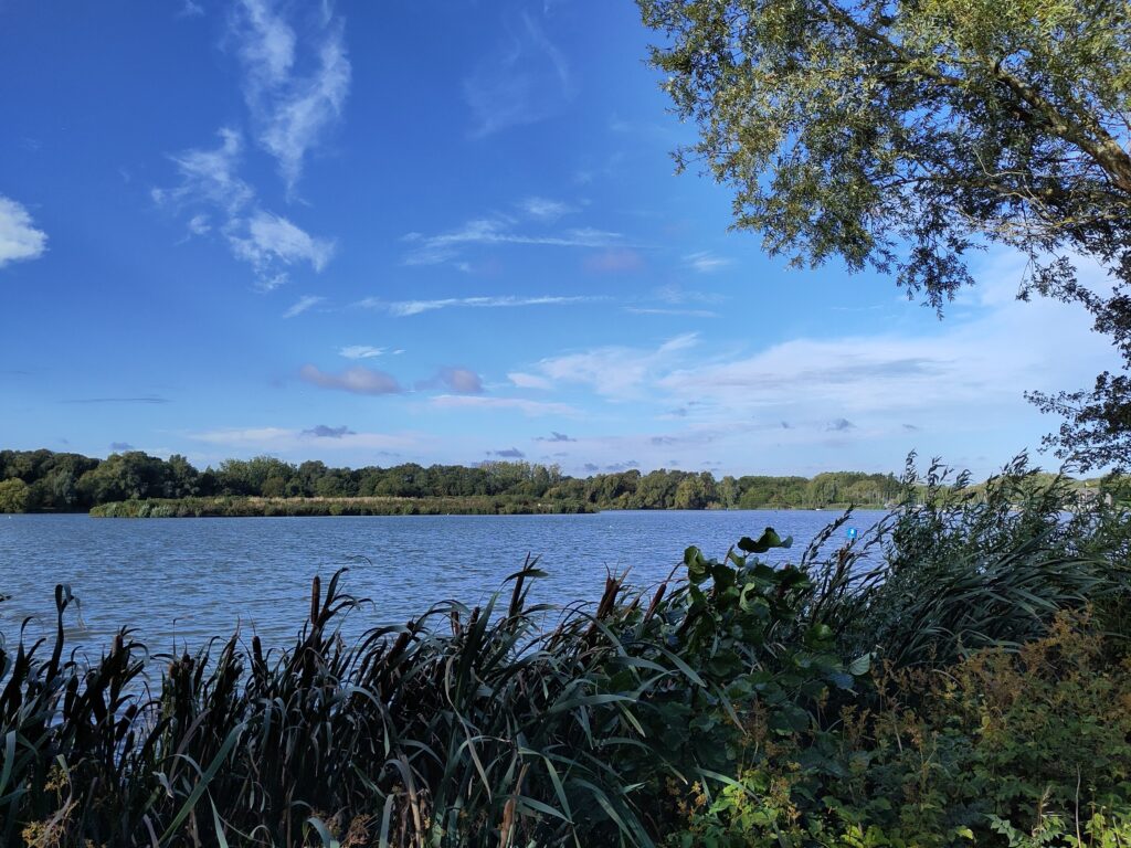 View over a lake on a sunny autumn morning.
