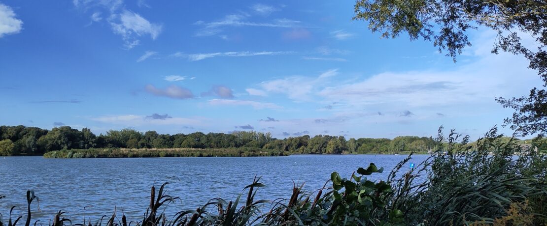 View over a lake on a sunny autumn morning.