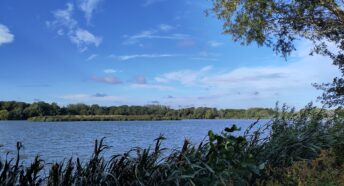 View over a lake on a sunny autumn morning.