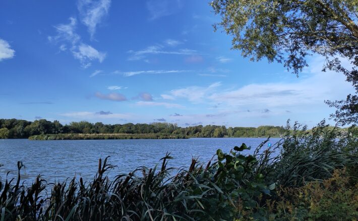 View over a lake on a sunny autumn morning.