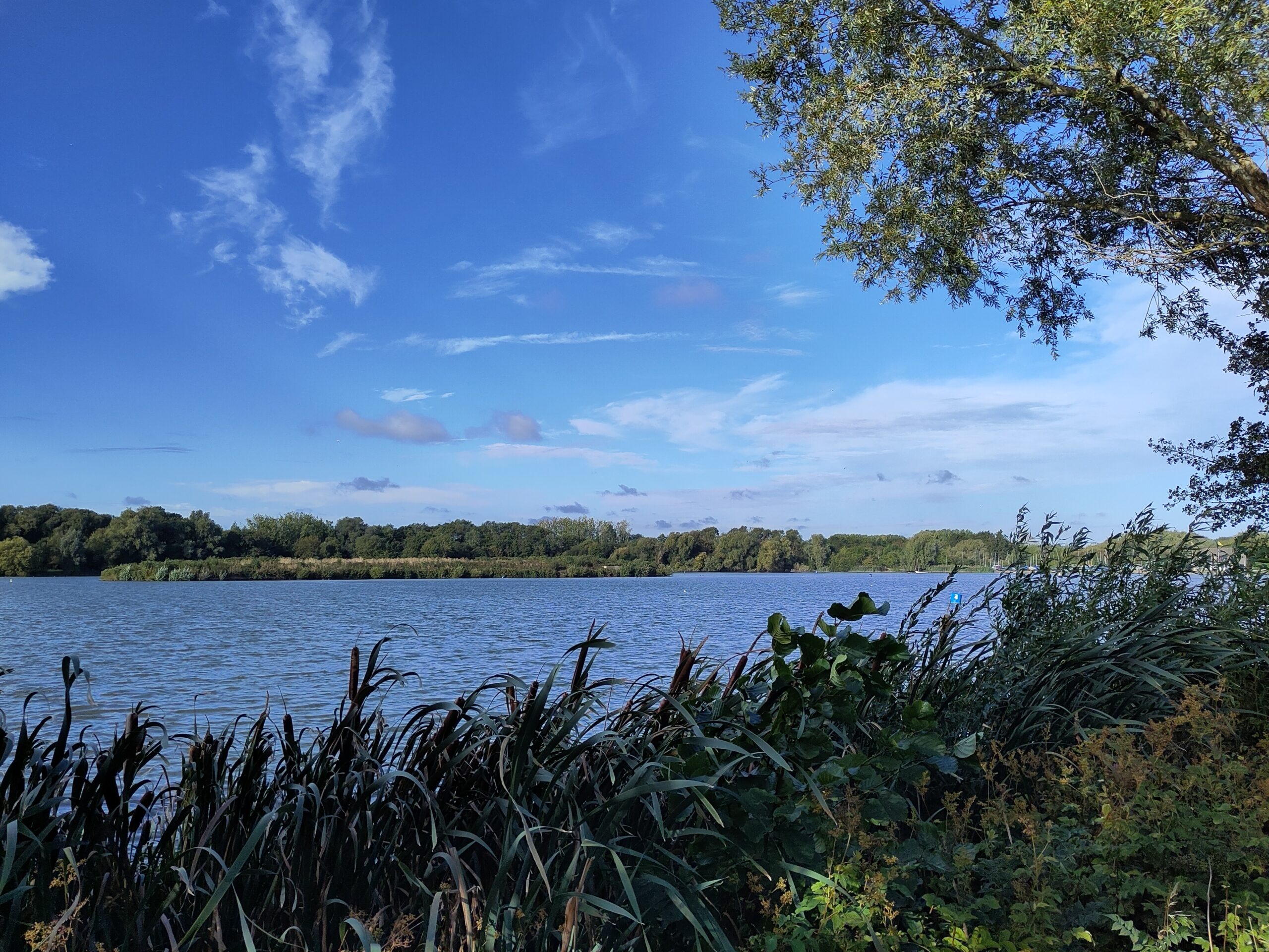 View over a lake on a sunny autumn morning.