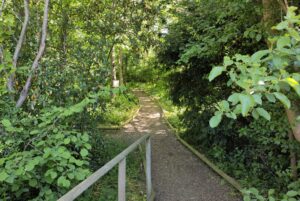 A path leading into woodland.