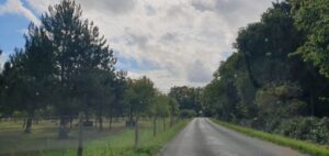 A straight road with trees on both sides.