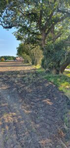 A tree lined field margin.