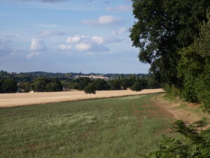 View across countryside with a path on the right