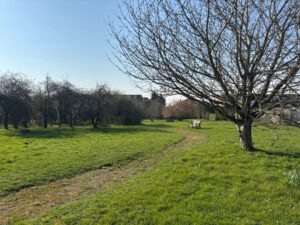 View of Clapham Millennium Park