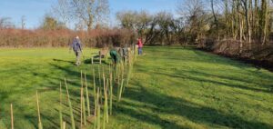 Volunteers planting a new row of hedgerow plants with guards