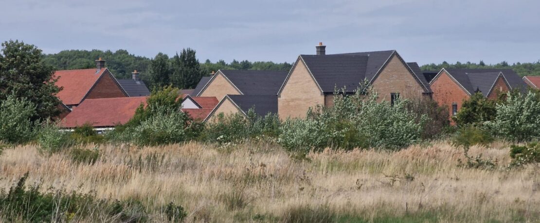 View of new houses with rough grassland in front
