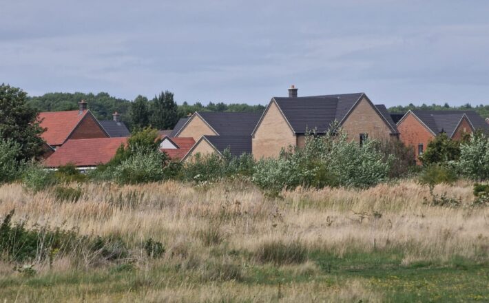 View of new houses with rough grassland in front