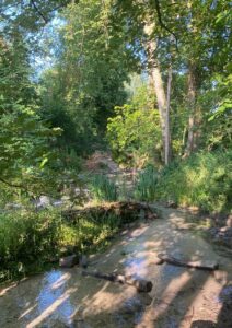 dappled view of a stream