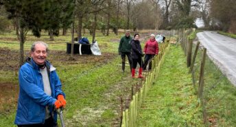 People planting a new hedgerow