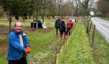 People planting a new hedgerow