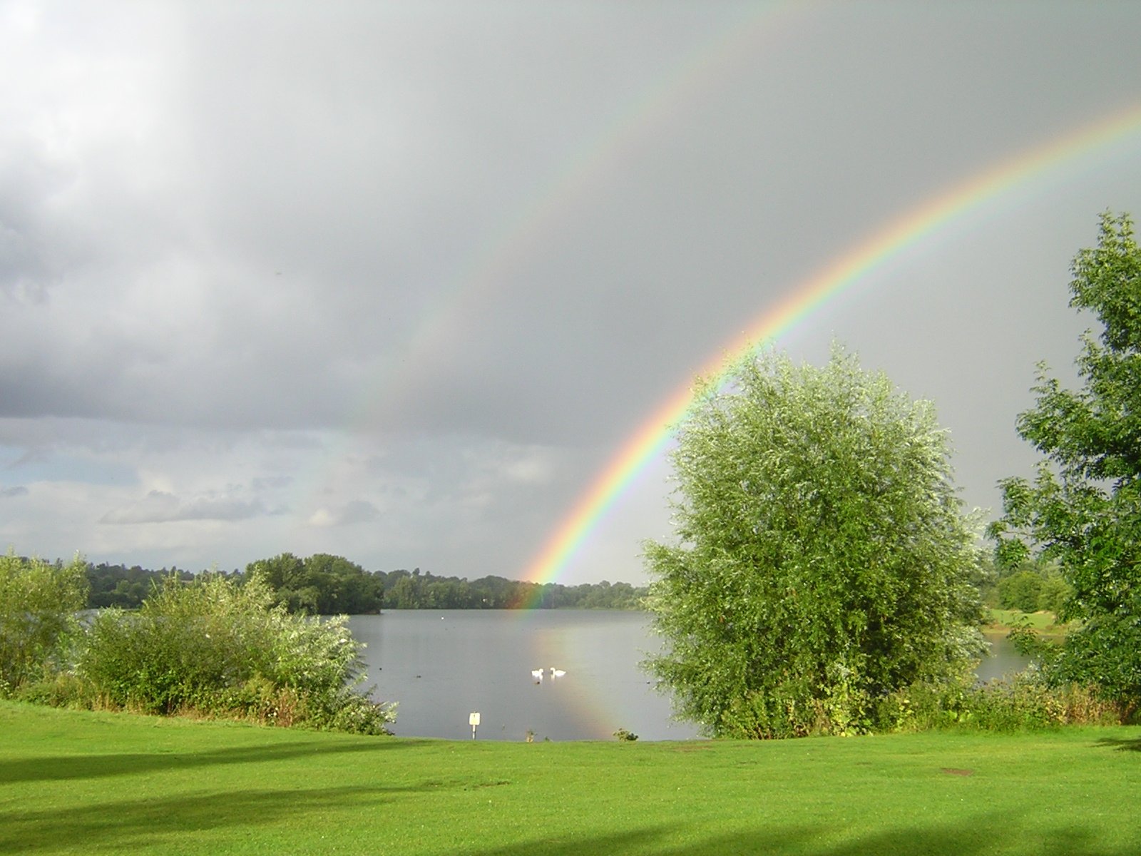 Rainbow over a lake in parkland